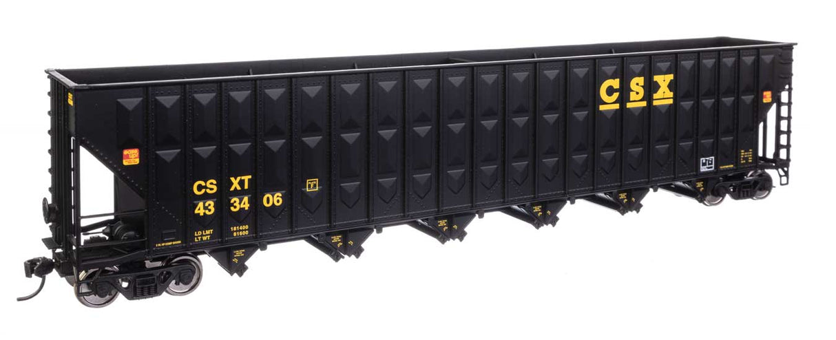 Image for 910-56343 Wood Chip Hop CSX 433406