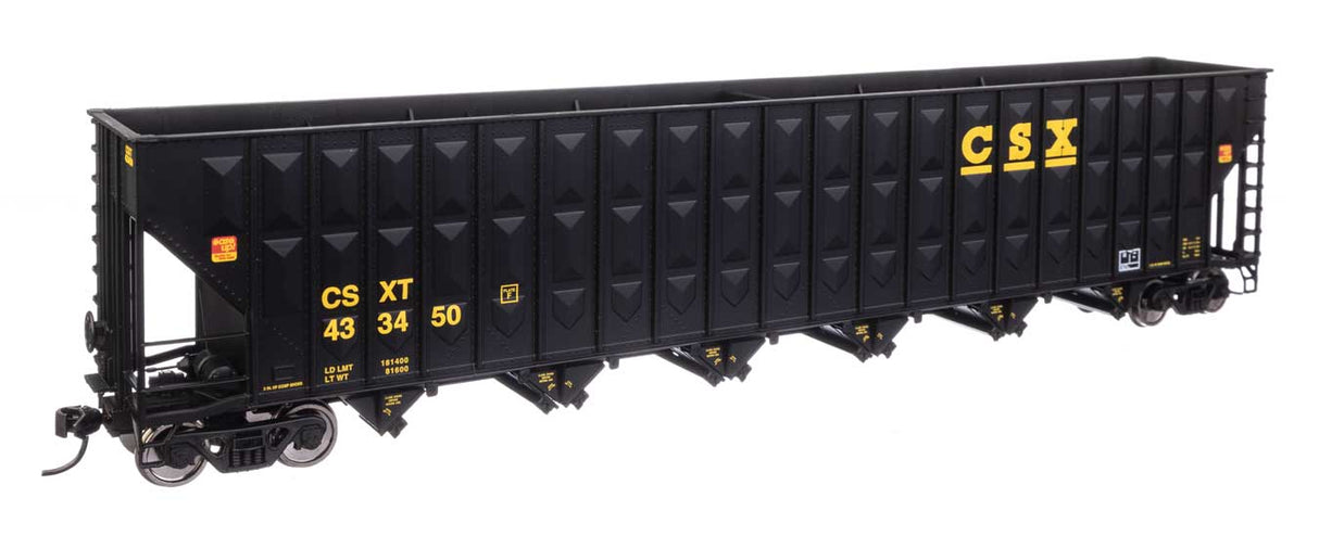 Image for 910-56344 Wood Chip Hop CSX 433450