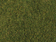 Image for 949-1224 Meadow Grass Lt Grn