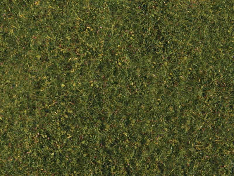 Image for 949-1224 Meadow Grass Lt Grn