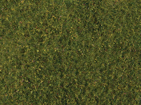 Image for 949-1224 Meadow Grass Lt Grn