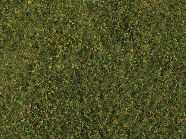 Image for 949-1224 Meadow Grass Lt Grn