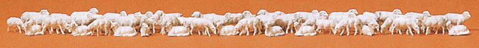 Image for 590-79252 Shepherds Flock 60/