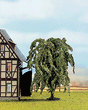 Image for 528-21770 Weeping willow 11cm high