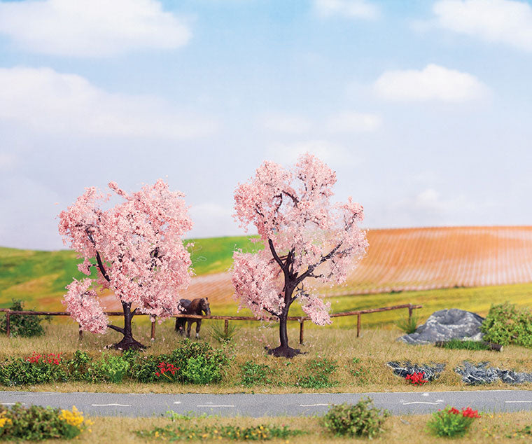 Image for 528-21996 Almond Tree 8 & 9cm 2/