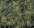 Image for 528-8350 Scatter mtrl forest