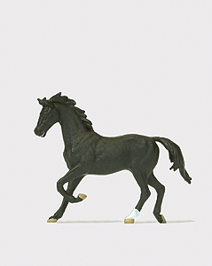 Image for 590-29525 Black Horse