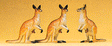 Image for 590-20392 Kangaroos 3/