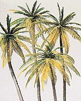 Image for 590-18600 Palm trees 4/
