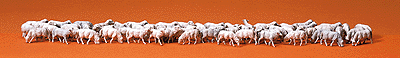 Image for 590-14411 Sheep 60/