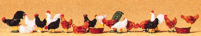 Image for 590-14168 Chickens              18/