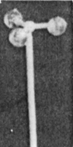 Image for 570-94822 Light 3 globe