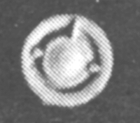 Image for 229-1019 Class Light Late GP/SD 8/