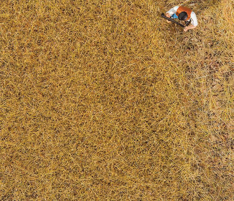 Image for 272-170775 Grnd Cvr Hay 30g