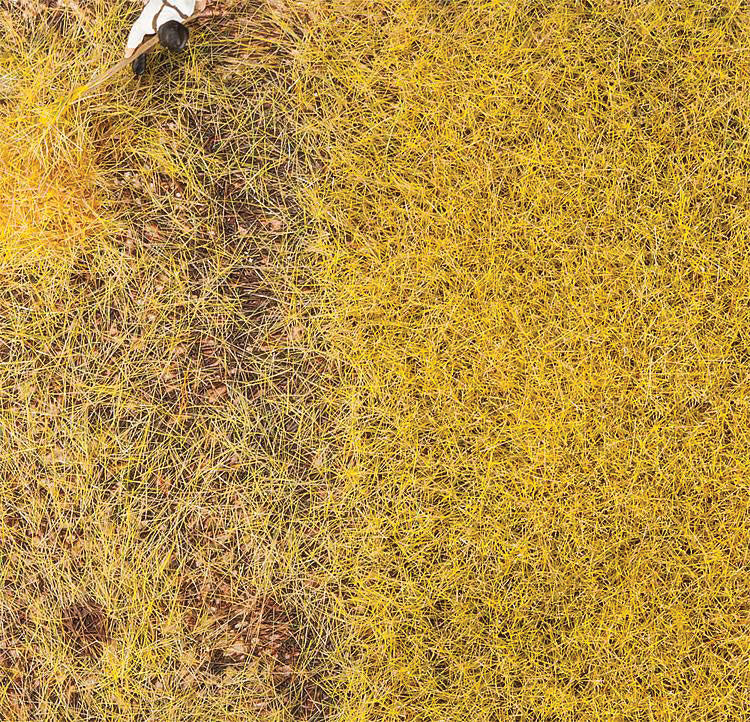 Image for 272-170776 Grnd Cover Straw 30g