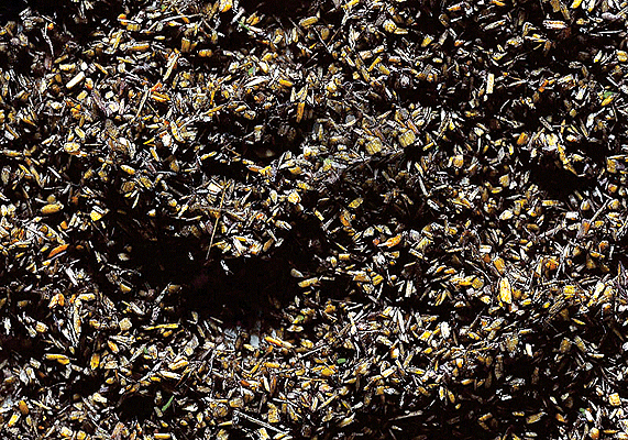 Image for 272-170706 Ground Cvr Blst Gry 1.5oz