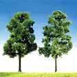 Image for 272-181364 Top Series Beech Tree 2/