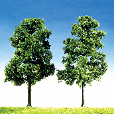 Image for 272-181364 Top Series Beech Tree 2/