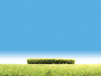 Image for 272-181398 Hedges Light Green 3/