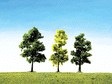 Image for 272-181497 Mxd Forest Trees HO/N 15/