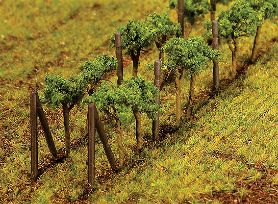 Image for 272-181254 Vines 24/