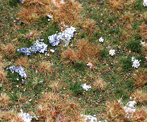 Image for 272-180475 Cntrysd Seg Forest Floor