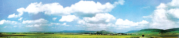 Image for 272-180511 Background Black Forest