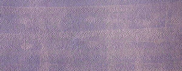 Image for 272-170826 Roman Cbblstn Pavement