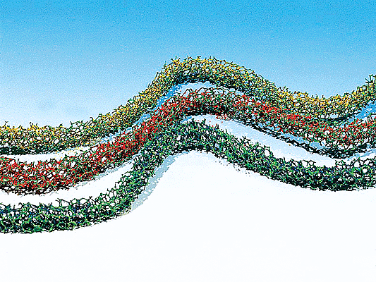 Image for 272-181443 Bushes/Hedges Red/Grn/Ylw