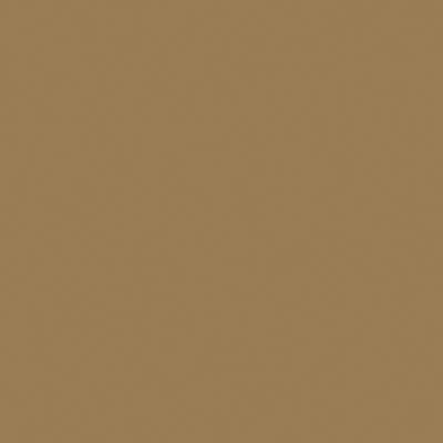 True Color Paint 819 Flat Brushable Color Acrylic Paints - 1oz 29.6mL -- Dark Tan Part # 709-819