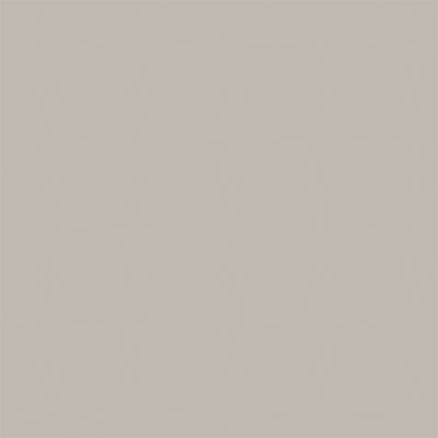 True Color Paint 828 Flat Brushable Color Acrylic Paints - 1oz 29.6mL -- Imitation Aluminum Part # 709-828