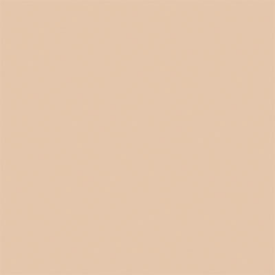 True Color Paint 829 Flat Brushable Color Acrylic Paints - 1oz 29.6mL -- Sand Part # 709-829