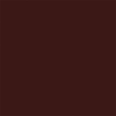 True Color Paint 831 Flat Brushable Color Acrylic Paints - 1oz 29.6mL -- Window Trim (Deep) Brown Part # 709-831