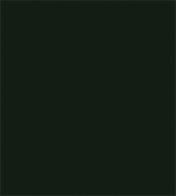 True Color Paint 837 Flat Brushable Color Acrylic Paints - 1oz 29.6mL -- Pennsylvania Railroad Brunswick Green Part # 709-837