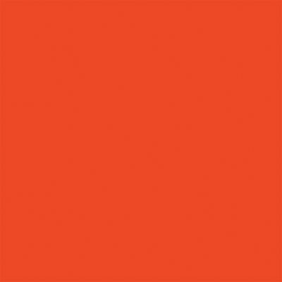 True Color Paint 838 Flat Brushable Color Acrylic Paints - 1oz 29.6mL -- Great Northern Empire Builder Orange Part # 709-838