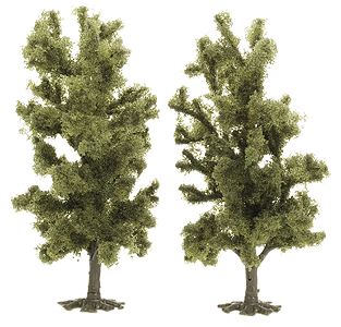 Image for 189-6949 Beech Tree 2/