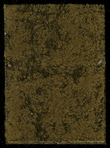 Image for 189-1305 Grndcvr Lt Smmr/Ey Atmn