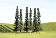 Image for 160-32103 Conifer Trees 3-4" 9/
