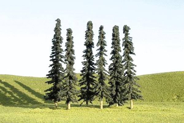 Image for 160-32103 Conifer Trees 3-4" 9/