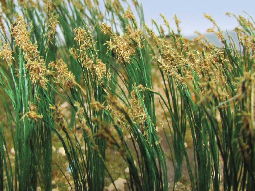 Image for 160-32514 Reeds 1" Tall 40/