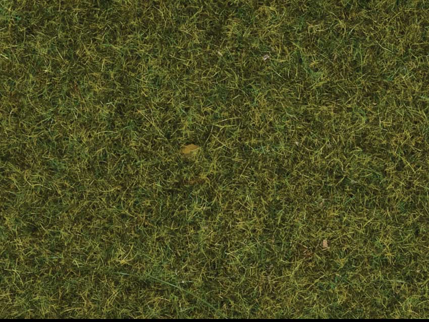 Image for 528-8361 Scatter Grass Meadow