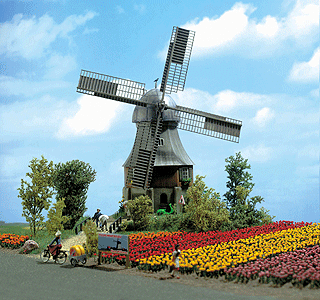 Image for 189-1206 Tulips 120/