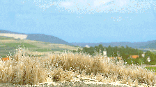 Image for 189-7375 Grain field reeds 125g