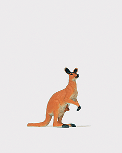 Image for 590-29519 Kangaroo