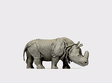 Image for 590-29502 Indian Rhinoceros #2