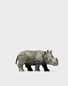 Image for 590-29503 Young Indian Rhinoceros