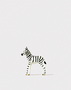 Image for 590-29504 Young Zebra