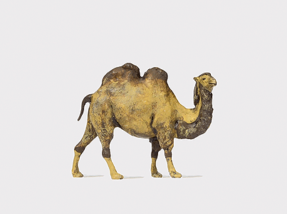 Image for 590-29506 Camel