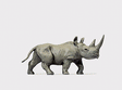 Image for 590-29521 African Rhinoceros #1