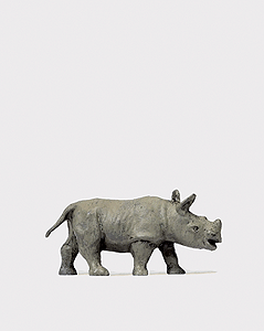 Image for 590-29523 Young African Rhinoceros